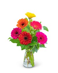 Gleeful Gerbera from Brennan's Florist and Fine Gifts in Jersey City