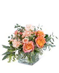 Living Coral from Brennan's Florist and Fine Gifts in Jersey City