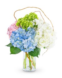 Sweet Hydrangea from Brennan's Florist and Fine Gifts in Jersey City