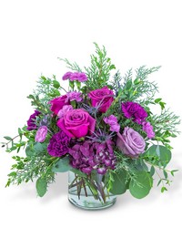 Nordic Magenta from Brennan's Florist and Fine Gifts in Jersey City
