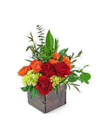 Sahara Bliss from Brennan's Florist and Fine Gifts in Jersey City