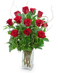 Dozen Red Roses with Willow from Brennan's Florist and Fine Gifts in Jersey City