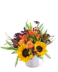 Sunshine Day from Brennan's Florist and Fine Gifts in Jersey City