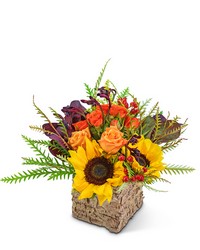 Harvest Season from Brennan's Florist and Fine Gifts in Jersey City