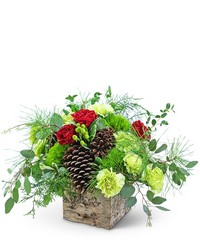 Holiday Mode from Brennan's Florist and Fine Gifts in Jersey City