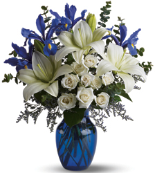 Blue Horizons from Brennan's Florist and Fine Gifts in Jersey City