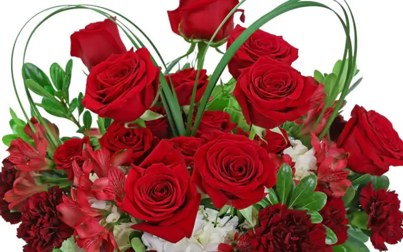 Jersey City Brennans Flower Shop, New Jersey Flowers Jersey City