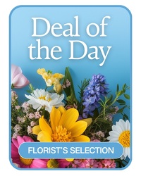 Florist's Deal of the Day from Brennan's Florist and Fine Gifts in Jersey City