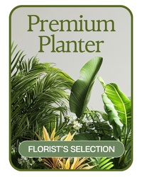 Designer's Choice Premium Planter from Brennan's Florist and Fine Gifts in Jersey City