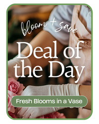 Deal of the Day from Brennan's Florist and Fine Gifts in Jersey City