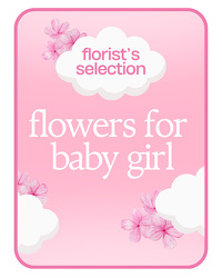 Designer's Choice Baby Girl from Brennan's Florist and Fine Gifts in Jersey City