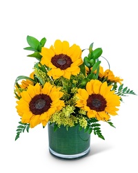 Sunshine Sunflowers from Brennan's Florist and Fine Gifts in Jersey City