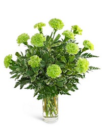 One Dozen Green Carnations from Brennan's Florist and Fine Gifts in Jersey City One Dozen Green Carnations from Brennan's Florist and Fine Gifts in Jersey City