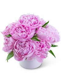 Peony Paradise from Brennan's Florist and Fine Gifts in Jersey City