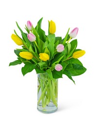 Strawberry Lemonade Tulips from Brennan's Florist and Fine Gifts in Jersey City