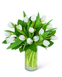White Tulips from Brennan's Florist and Fine Gifts in Jersey City