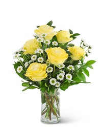 Yellow Roses with Daisies from Brennan's Florist and Fine Gifts in Jersey City