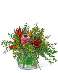 Protea Wilderness from Brennan's Florist and Fine Gifts in Jersey City