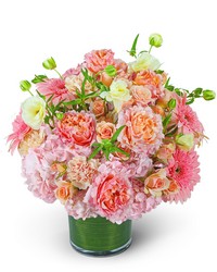 Fluttering Farewell from Brennan's Florist and Fine Gifts in Jersey City