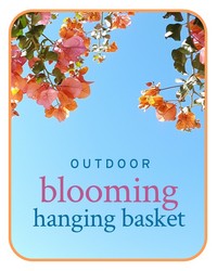 Outdoor Blooming Hanging Basket Plant from Brennan's Florist and Fine Gifts in Jersey City
