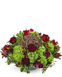 Merlot Twist from Brennan's Florist and Fine Gifts in Jersey City