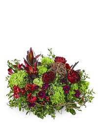 Modern Merlot from Brennan's Florist and Fine Gifts in Jersey City