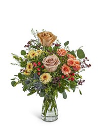 Brindle Bloom from Brennan's Florist and Fine Gifts in Jersey City