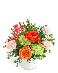 Apricot Charm from Brennan's Florist and Fine Gifts in Jersey City Apricot Charm from Brennan's Florist and Fine Gifts in Jersey City