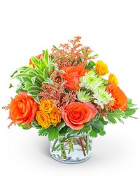 Key West Sunshine from Brennan's Florist and Fine Gifts in Jersey City