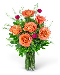 Half Dozen Wild and Free Spirit Roses from Brennan's Florist and Fine Gifts in Jersey City