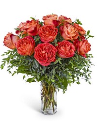 One Dozen Wild Spirit Roses from Brennan's Florist and Fine Gifts in Jersey City