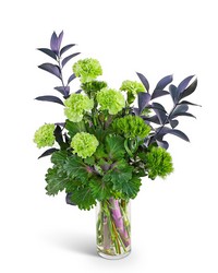 Emerald Embrace from Brennan's Florist and Fine Gifts in Jersey City Emerald Embrace from Brennan's Florist and Fine Gifts in Jersey City