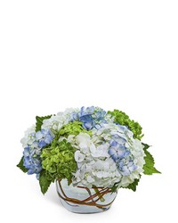 Dreamy Hydrangea from Brennan's Florist and Fine Gifts in Jersey City