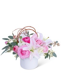 Sweet Celebration from Brennan's Florist and Fine Gifts in Jersey City