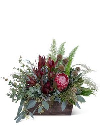 Botanic Beauty from Brennan's Florist and Fine Gifts in Jersey City