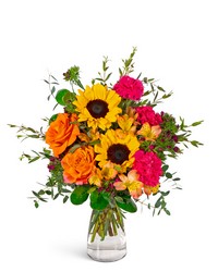 Sunny Sienna from Brennan's Florist and Fine Gifts in Jersey City