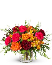 Sienna Garden from Brennan's Florist and Fine Gifts in Jersey City
