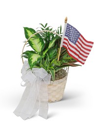 Patriotic Planter from Brennan's Florist and Fine Gifts in Jersey City