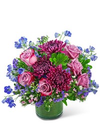 Ultraviolet Dream from Brennan's Florist and Fine Gifts in Jersey City