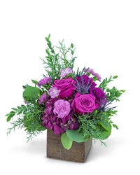 Violet Woods from Brennan's Florist and Fine Gifts in Jersey City