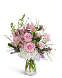Cloud Kissed from Brennan's Florist and Fine Gifts in Jersey City