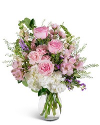 Rosewater Clouds from Brennan's Florist and Fine Gifts in Jersey City Rosewater Clouds from Brennan's Florist and Fine Gifts in Jersey City