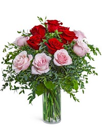 One Dozen Perfect Pink and Red Roses from Brennan's Florist and Fine Gifts in Jersey City