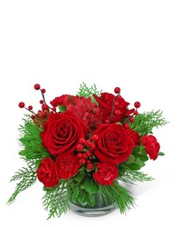 Holly Berries from Brennan's Florist and Fine Gifts in Jersey City