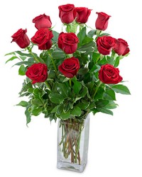 Refined Dozen Red Roses from Brennan's Florist and Fine Gifts in Jersey City