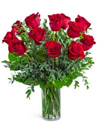 One Dozen Red Hot Roses from Brennan's Florist and Fine Gifts in Jersey City