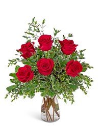 Half Dozen Red Roses from Brennan's Florist and Fine Gifts in Jersey City