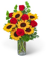 Sunny Love from Brennan's Florist and Fine Gifts in Jersey City