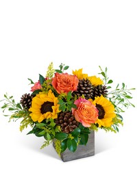 Harvest Sunburst Harmony from Brennan's Florist and Fine Gifts in Jersey City