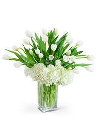 White Elegance from Brennan's Florist and Fine Gifts in Jersey City